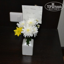 фото из отзыва ID 466595