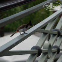 фото из отзыва ID 466651