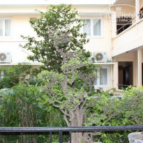 фото из отзыва ID 466866