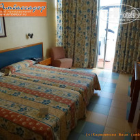 фото из отзыва ID 466929