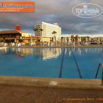 фото из отзыва ID 466929