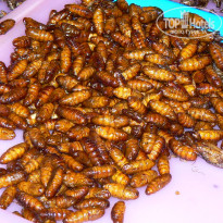 фото из отзыва ID 466976