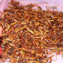 фото из отзыва ID 466976