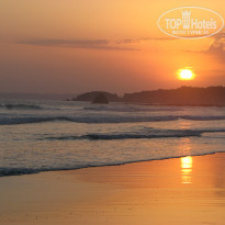 фото из отзыва ID 467046