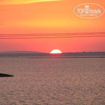 фото из отзыва ID 467163