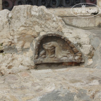 фото из отзыва ID 467450