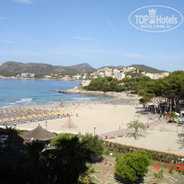 фото из отзыва ID 467560