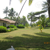 фото из отзыва ID 467634