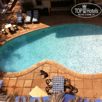 фото из отзыва ID 467635