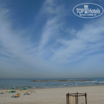 фото из отзыва ID 467639