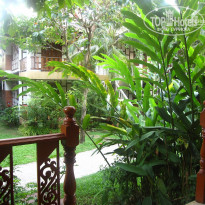 фото из отзыва ID 467002