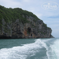 фото из отзыва ID 467002