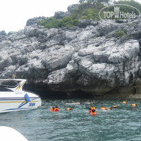 фото из отзыва ID 467002