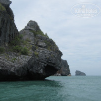 фото из отзыва ID 467002