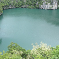 фото из отзыва ID 467002