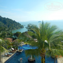 фото из отзыва ID 467921