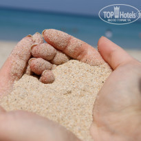 фото из отзыва ID 467970