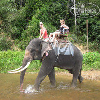 фото из отзыва ID 468496