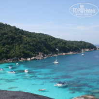 фото из отзыва ID 468496