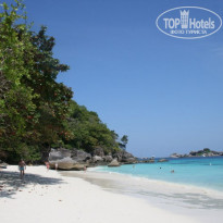 фото из отзыва ID 468496