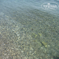 фото из отзыва ID 468550