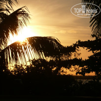 фото из отзыва ID 468713