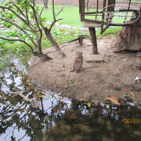 фото из отзыва ID 468788