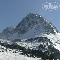 фото из отзыва ID 468792