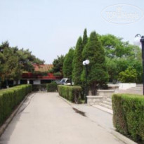 фото из отзыва ID 468828