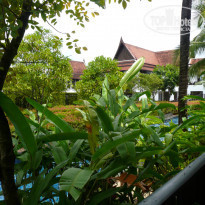 фото из отзыва ID 468864