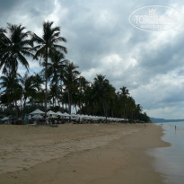 фото из отзыва ID 468864