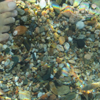 фото из отзыва ID 468971