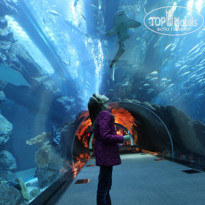 фото из отзыва ID 468831