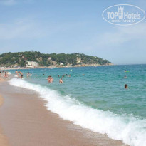 фото из отзыва ID 46964