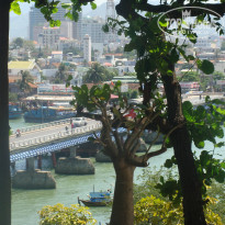 фото из отзыва ID 469128