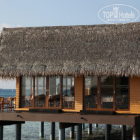 фото из отзыва ID 469147