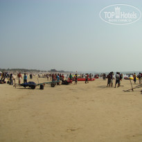 фото из отзыва ID 469169