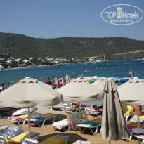 фото из отзыва ID 469249