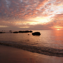 фото из отзыва ID 469276