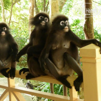 фото из отзыва ID 469276