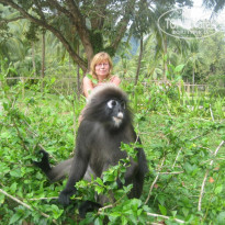 фото из отзыва ID 469276