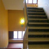 фото из отзыва ID 469454