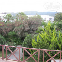 фото из отзыва ID 469501