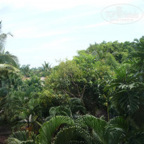 фото из отзыва ID 469511