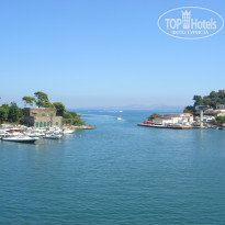 фото из отзыва ID 469517