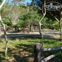 фото из отзыва ID 469538