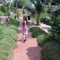 фото из отзыва ID 469396