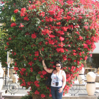 фото из отзыва ID 469853