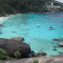 фото из отзыва ID 469876