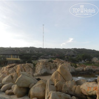 фото из отзыва ID 469277